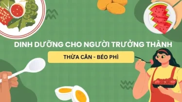 Dinh dưỡng cho người trưởng thành bị thừa cân – béo phì