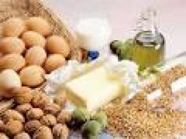 Vai trò của chất béo đối với cơ thể người