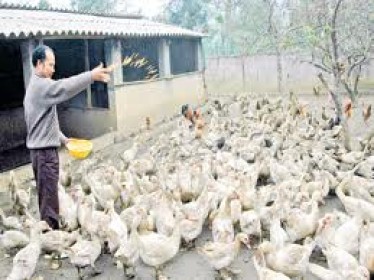 Một số hoạt động hưởng ứng Tuần lễ dinh dưỡng và phát triển năm 2013