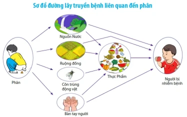 Phòng chống giun sán để bảo vệ sức khỏe trẻ em