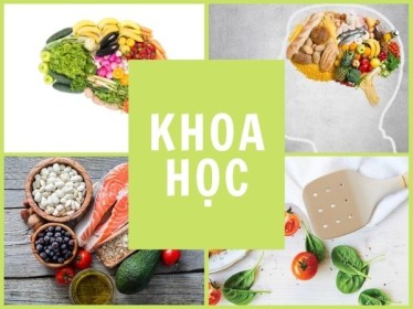 Chế độ ăn khoa học là gì?
