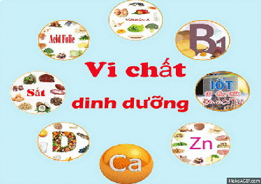 Vai trò của vi chất dinh dưỡng với tăng cường miễn dịch và tăng trưởng cho trẻ em