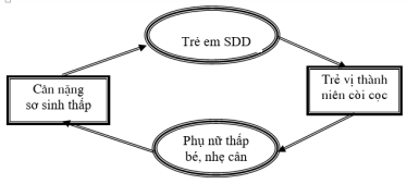 Chăm sóc dinh dưỡng sớm-giải pháp giảm suy dinh dưỡng bền vững