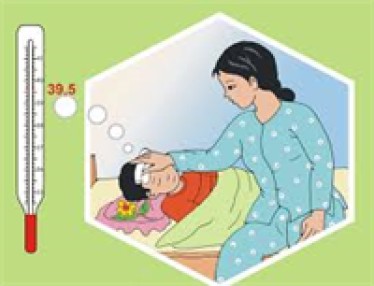 Mùa hè cảnh giác với viêm não Nhật Bản