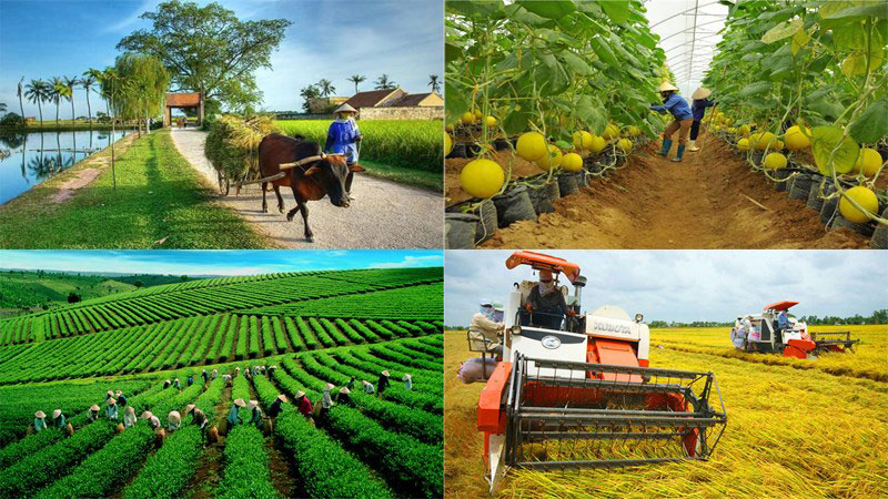 Government Approves National Target Program on Sustainable Poverty Reduction for the 2021-2025 Period