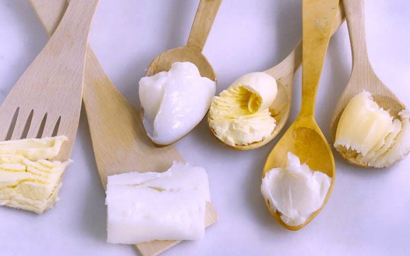 Mỡ có thực là xấu? Vai trò của mỡ trong hấp thu vitamin
