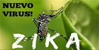 Bộ Y tế ban hành hướng dẫn chẩn đoán, điều trị bệnh do vi rút Zika