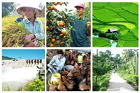 Phát triển nông nghiệp bền vững góp phần nâng cao tình trạng dinh dưỡng cho người Việt Nam