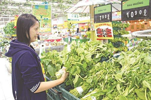 Cách lựa chọn, bảo quản, chế biến thực phẩm tối ưu