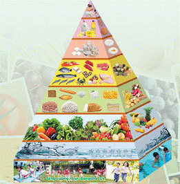 Giới thiệu tháp dinh dưỡng cho trẻ em 3-5 tuổi