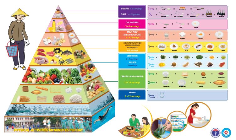 Áp phích các tháp dinh dưỡng hợp lý cho người Việt Nam - phiên bản Tiếng Việt